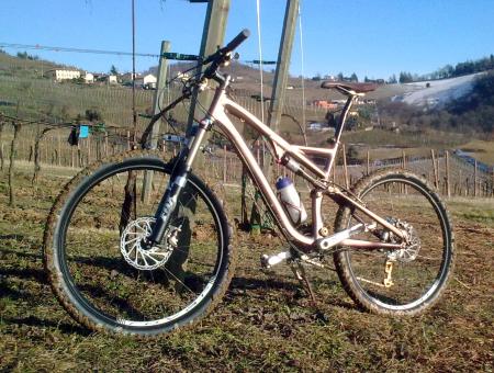 stumpjumper